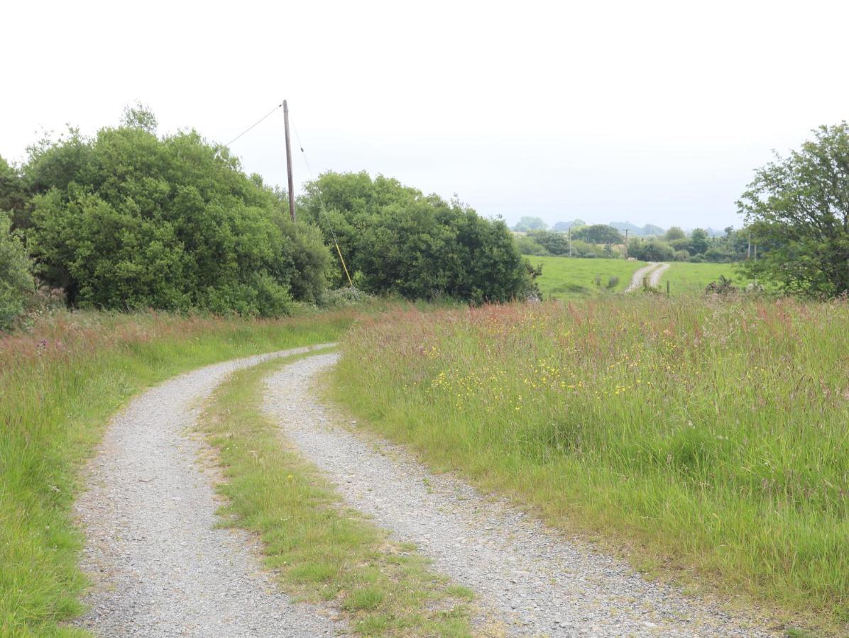 Tan Y Bryn Villa Pwllheli Buitenkant foto